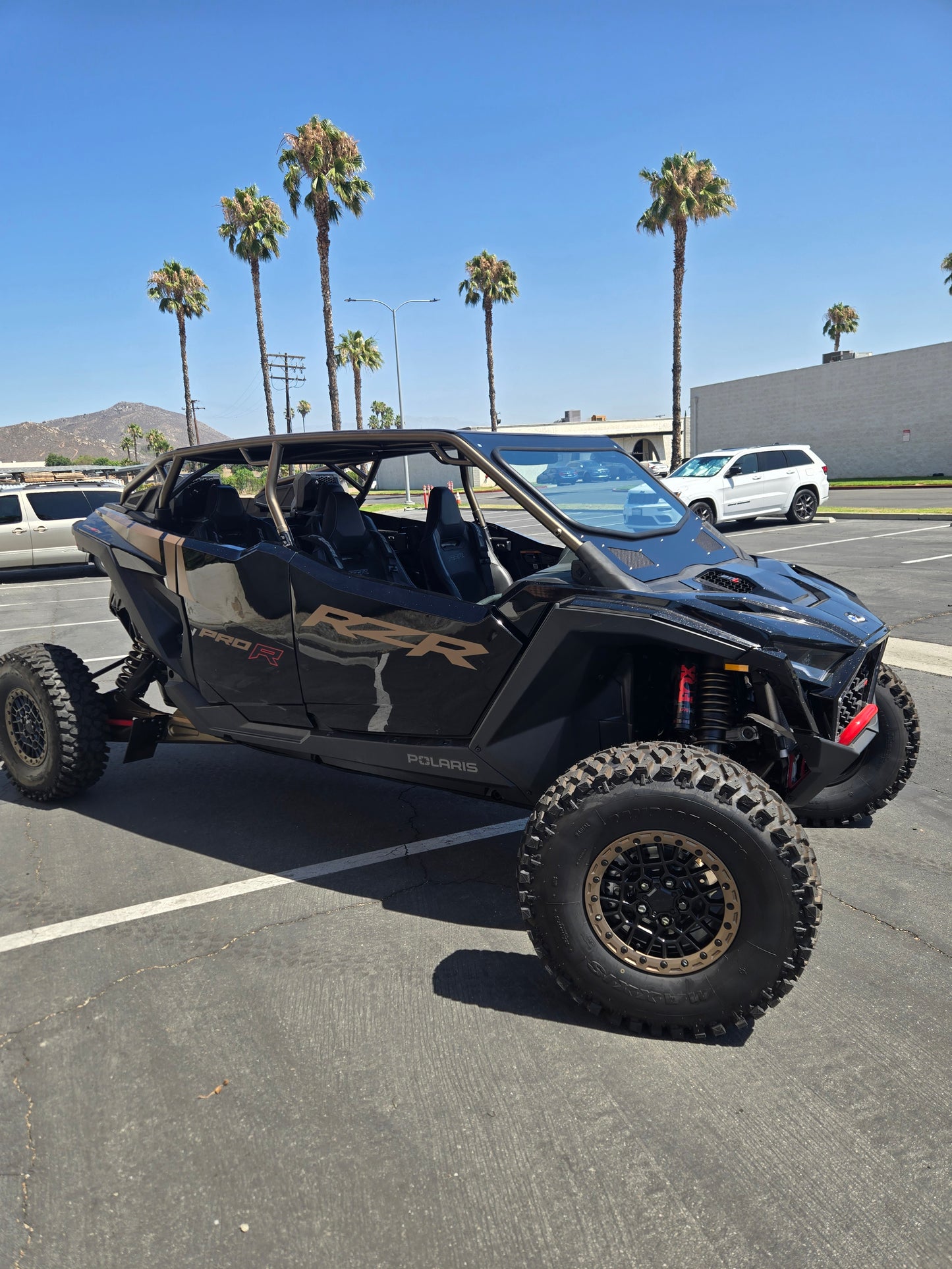 2025 Polaris RZR Pro R 4dr Fastback Roll Cage