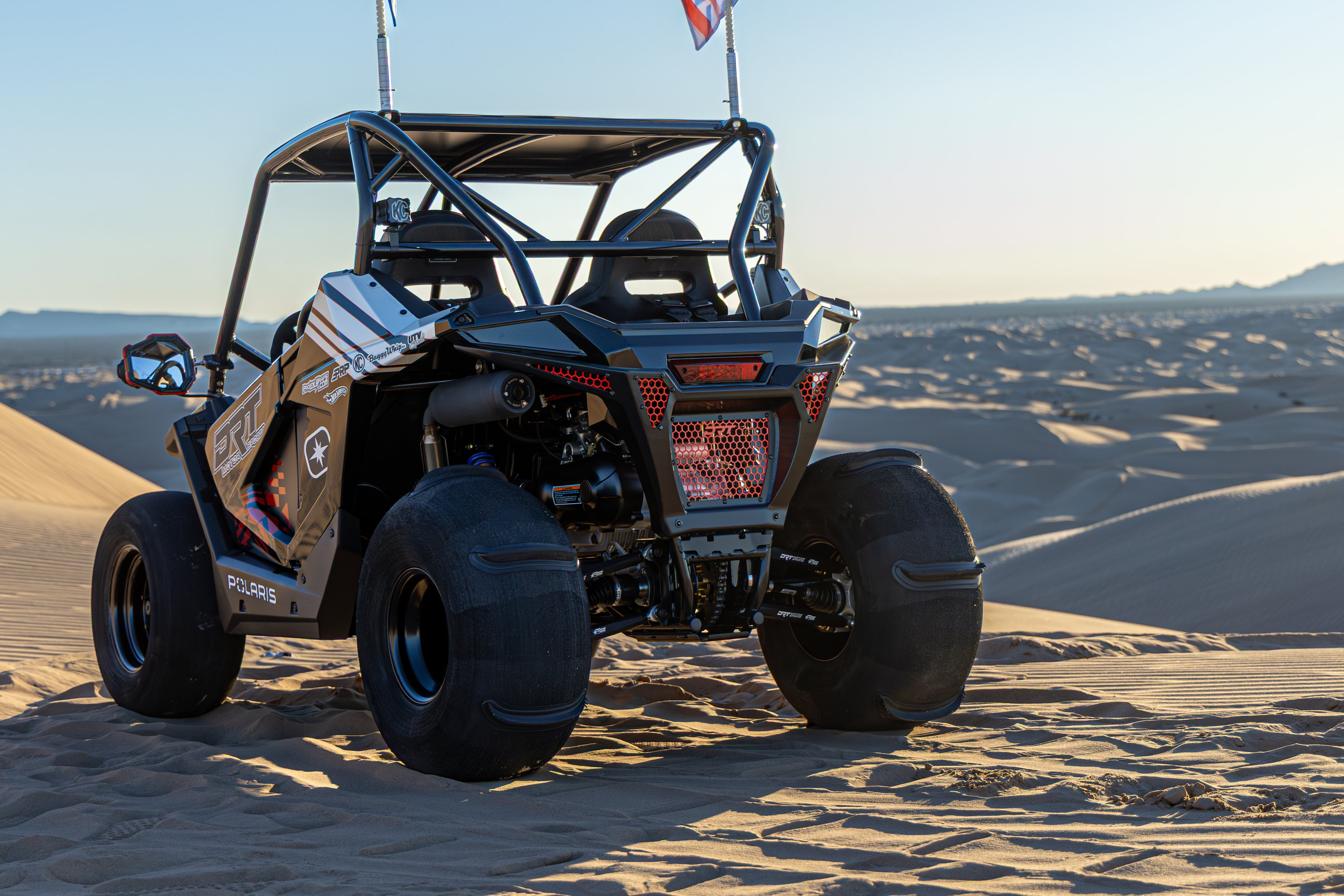 Polaris RZR 200 Standard Radius Cage