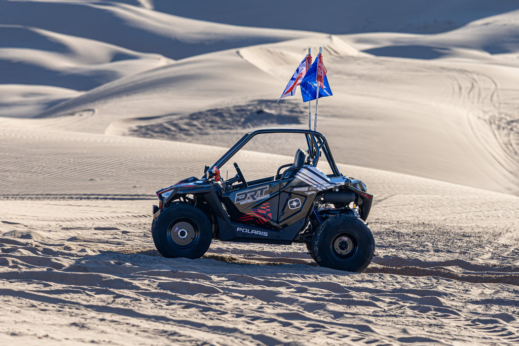 Polaris RZR 200 Standard Radius Cage