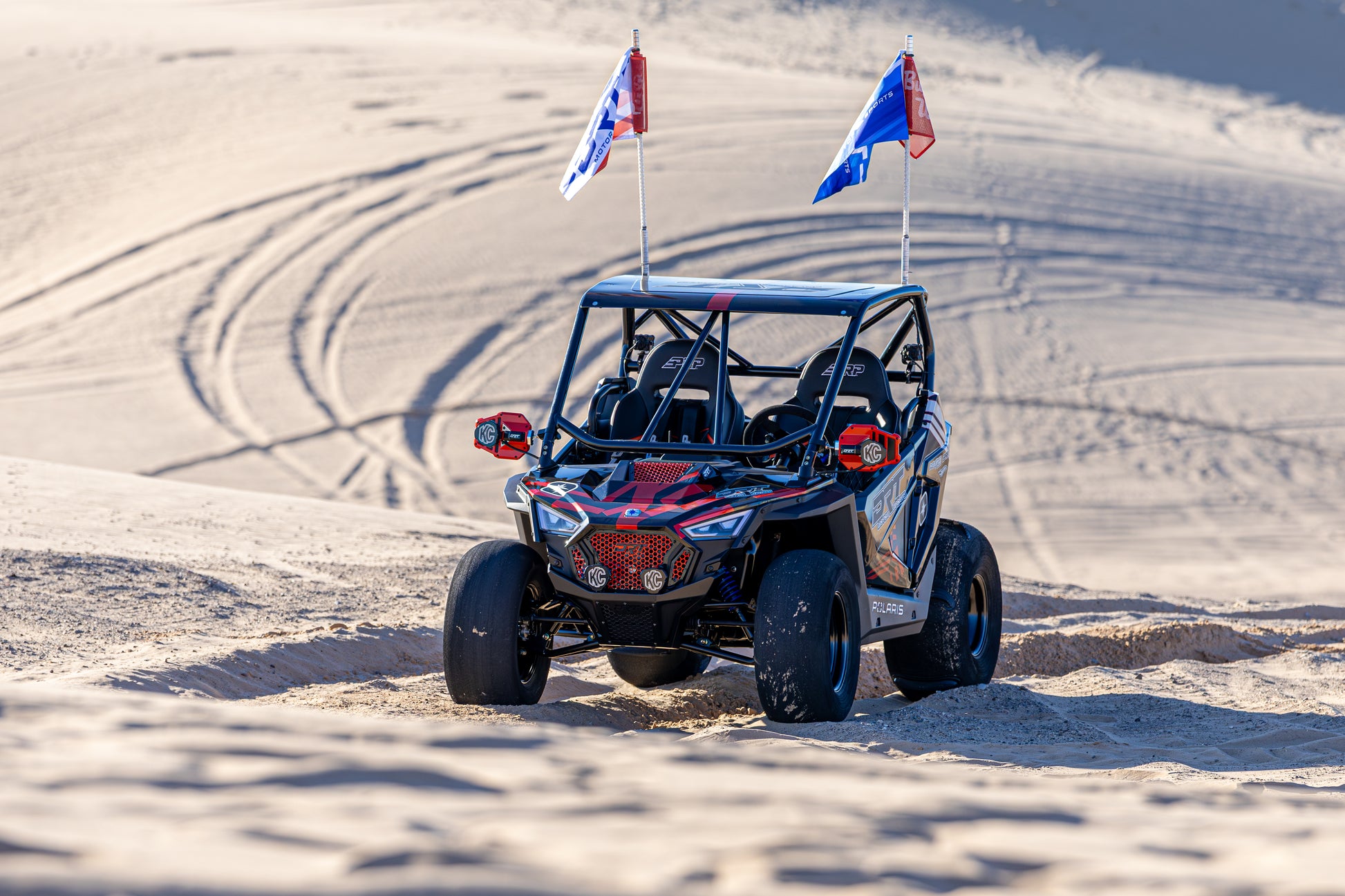 Polaris RZR 200 Standard Radius Cage